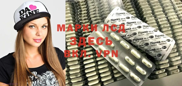 стаф Балахна