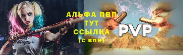 стаф Балахна