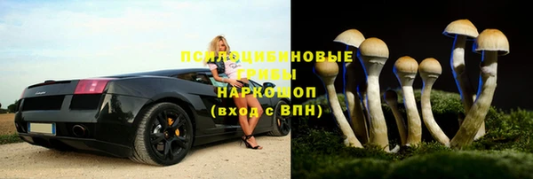 стаф Балахна