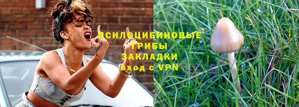 стаф Балахна