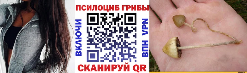 как найти наркотики  MEGA   Псилоцибиновые грибы прущие грибы  Лесосибирск 
